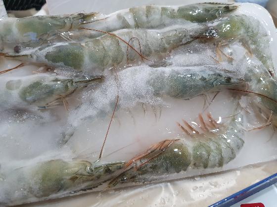 眼鏡伯白蝦無打水冰，方便料理取用